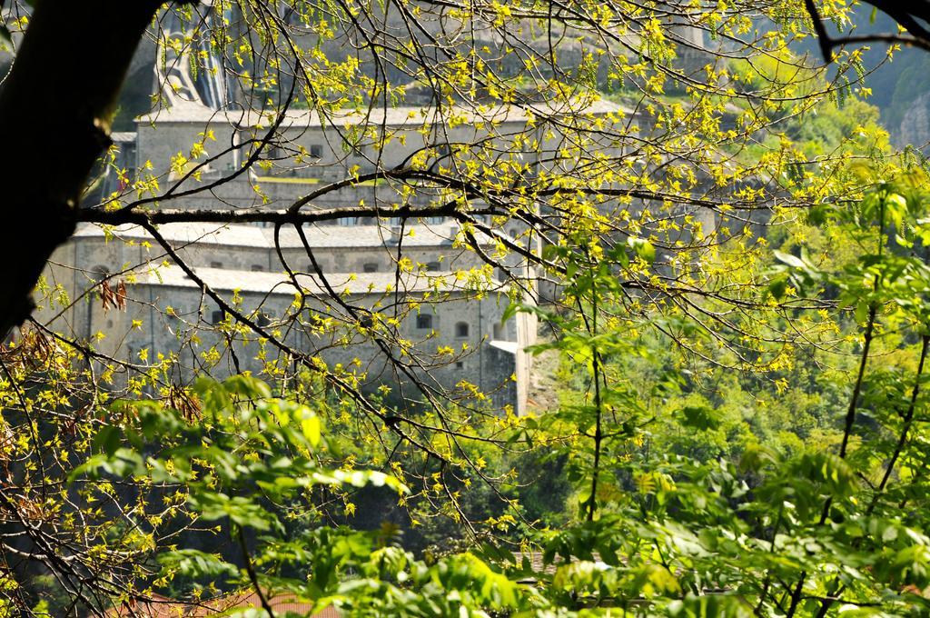 Casa Ciuca Hostel Bard Exterior photo